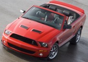 Shelby Cobra GT500 Show Car